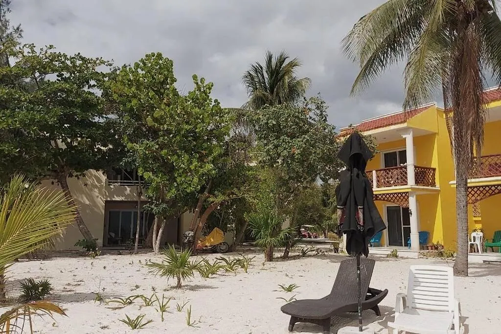 Beachfront Apartament Next To Nomads D1 Isla Mujeres