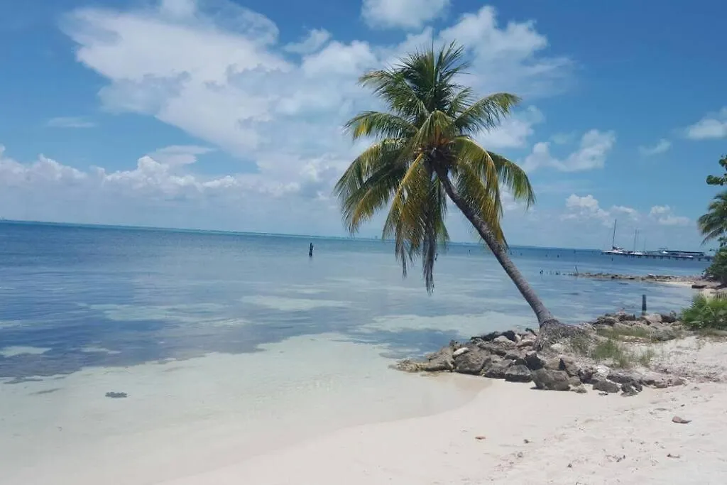 Daire Beachfront Apartament Next To Nomads D1 Isla Mujeres Meksika